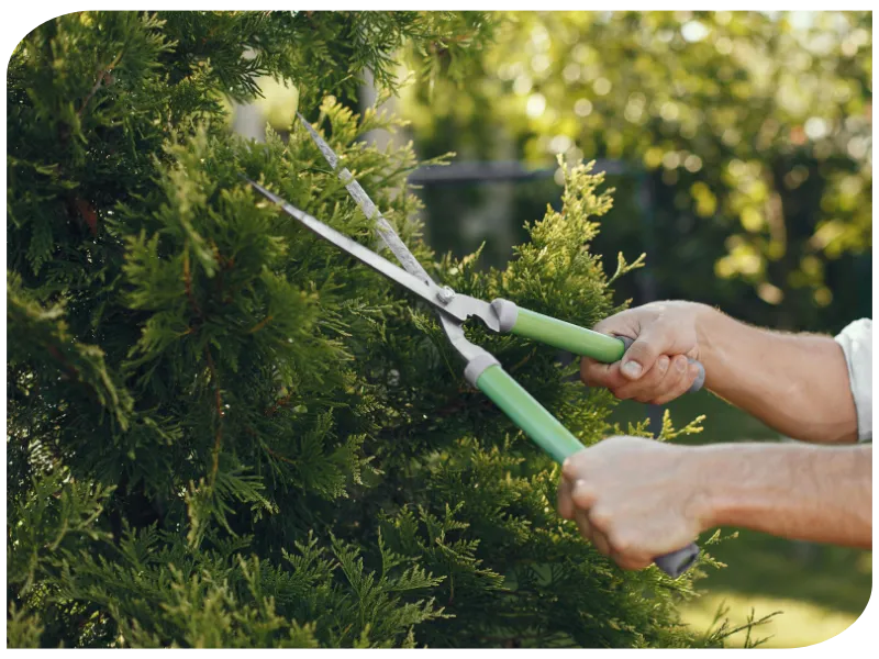 amenagement exterieur saint brevin les pins