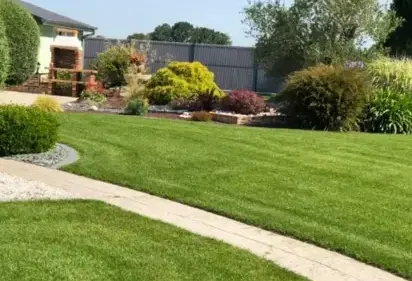 arboriste Saint Brevin les Pins-2