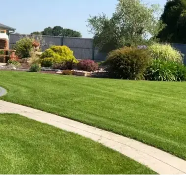 arboriste Saint Michel Chef Chef-2