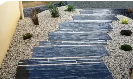 arboriste Saint Michel Chef Chef-3