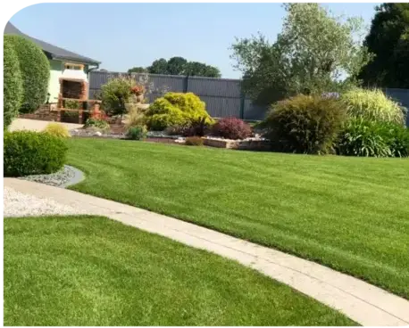 arboriste Saint Père en Retz-1