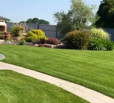 élagage Saint Michel Chef Chef-3