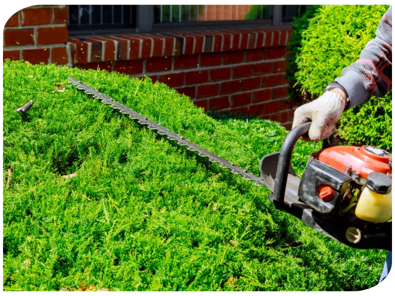 entretien espace vert frossay